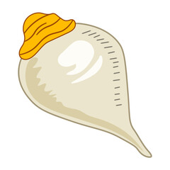 Sacred White Conch Shell Illustration
