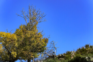 randonnée automnale en Auvergne