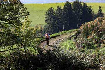 randonn&eacute;e automnale en Auvergne