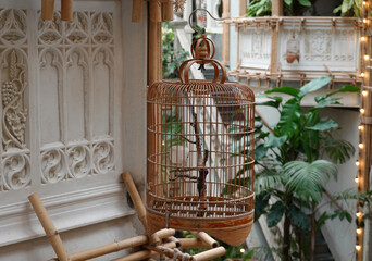 Close-Up of Vintage Bird Cage with Plants