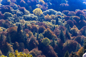 randonnée automnale en Auvergne