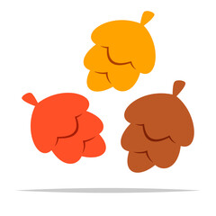 Set of flat color pine cones vector isolated illustration