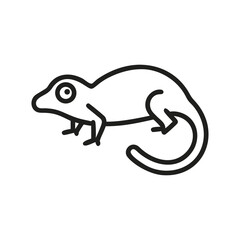 A line drawing of a chameleon with a curled tail and large eye. Icon line style editable stroke
