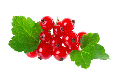 Red currant isolated on white background. Redcurrant or Ribes rubrum ripe berries with green leaves.