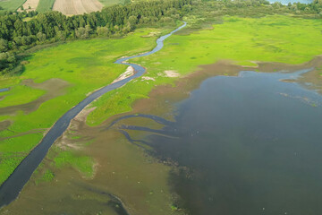 Green grass growing on dry lake bed
