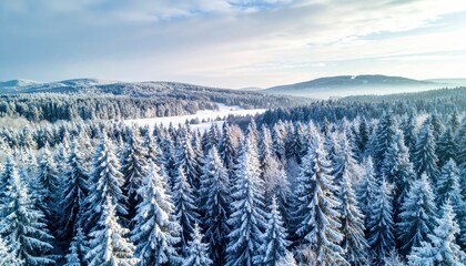 Vast Snow Covered Forest Landscape With Sunlight Breaking Through Clouds And Foggy Mountain Range In The Distance Majestic Winter Aerial View
