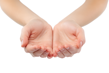 open female hands holding something isolated on white or transparent png