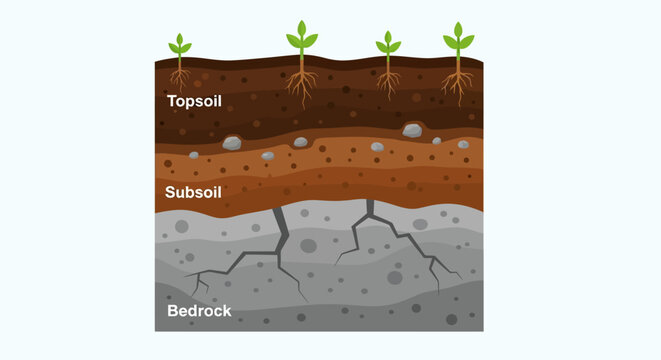Soil Layers with Plant Growth: Topsoil Subsoil and Bedrock Diagram.