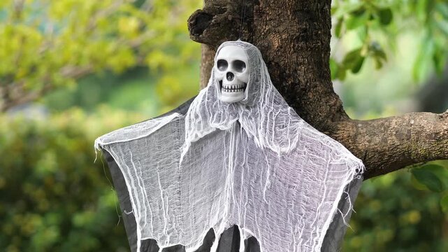 Hanging ghost skeleton decoration on tree with white cloth and skull face for outdoor Halloween horror theme