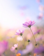 Fototapeta premium Blume
