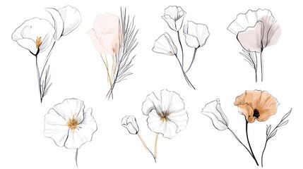 Delicate line art floral illustrations in muted colors with artistic washes.