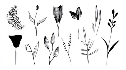 Various botanical elements and floral illustrations drawn in black ink.
