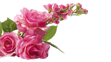 Delicate pink roses and unopened buds form a floral arrangement.