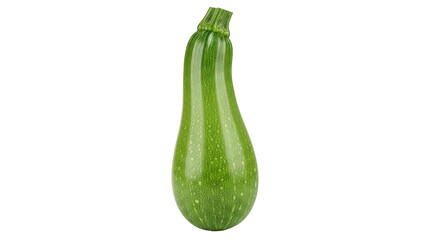 Isolated green summer squash, an elongated vegetable with a smooth, shiny surface texture