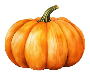 PNG Pumpkin vegetable squash plant.