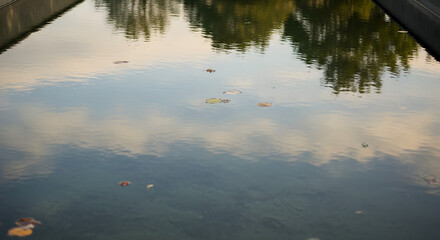 The soft reflection of clouds and trees on the calm rippling surface of a canal or pond with a few floating leaves