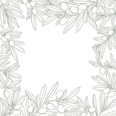 Fototapeta premium Drawing olives branch leaf square frame green. Hand drawn floral illustration olive fruit, tree branches, leaves. Isolated background. Drawings food edible foliage. Menu card wrapping decor.
