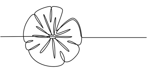 lily pad icon continuous one line drawing, Outline drawings of water lily plants in pond, leaf pads. Set of lotus leaves in sketch style. Botanical vector illustration isolated on white background.  © LINEART