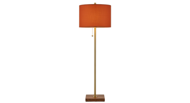 Isolated Floor Lamp with Round Shade and Pull Chain, Modern Home Interior Lighting Fixture