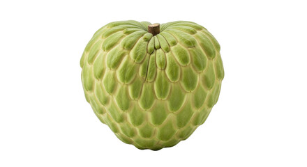 Isolated sugar apple or sweetsop fruit, an edible tropical food plant, healthy eating diet
