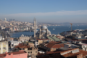 Istanbul Mosque Skyline Panoramic View: Turkey cityscape, historical architecture, daytime photo.