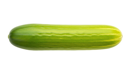 Isolated ripe cucumber for salads, healthy eating, cooking, food preparation, and vegetarian diets