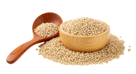 Isolated hulled barley grain in wooden bowl and spoon, food ingredient on seamless surface