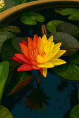 A stunning water lily with petals transitioning from bright yellow to vivid orange blooms gracefully on the surface of a pond. Surrounded by lush green lily pads and calm dark water, the flower stands