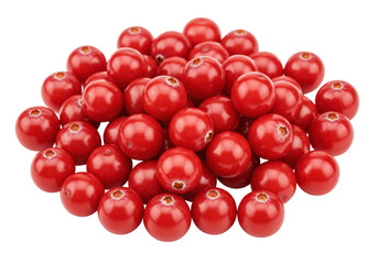 Isolated pile of shiny, fresh red cranberries, perfect for autumn and holiday baking