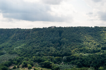 Fototapeta premium A densely forested hillside with a solitary estate at the top, partially hidden by trees.