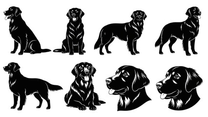 Detailed Collection of Labrador Retriever Dog Silhouettes and Head Profiles in Various Poses