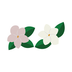 gardenia flower pair vector illustration
