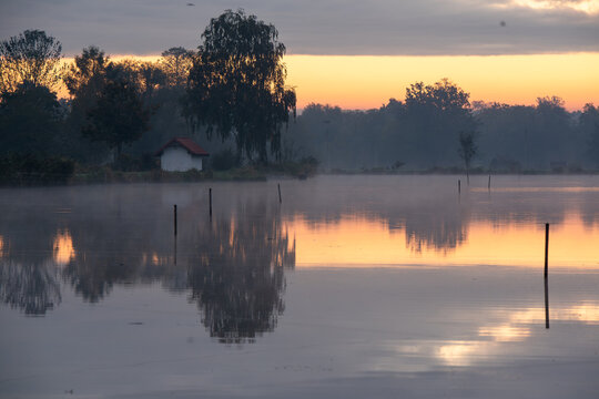 Fototapeta Jesienny wschód słońca nad spokojnym stawem, z miękkim złotym światłem odbijającym się w tafli wody. Delikatna mgiełka i ciepłe barwy tworzą nastrojowy, malowniczy krajobraz idealny do tematów natury