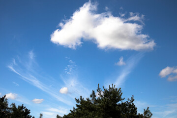 White fluffy clouds float across the clear blue autumn sky.맑고 푸른 가을 하늘에 하얀 뭉게구름이 떠다닙니다.