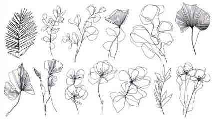 Elegant line drawings depict various botanical elements including leaves and flowers.