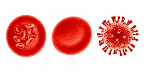 Red blood cells and virus particle microscopic view medical science graphic
