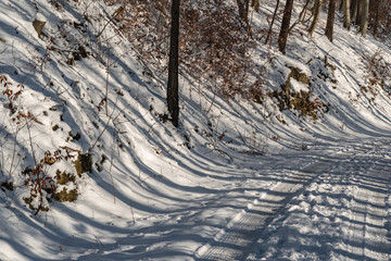 Winter rural journey, snowy rural road scene, sunlit country lane with vehicle tracks frozen snow