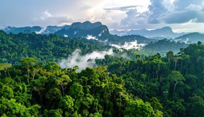 Fototapeta premium Lush Green Tropical Rainforest Mountains With Misty Clouds And Sunlight Breaking Through In Thailand
