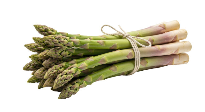 Isolated raw asparagus bunch, a delicious and nutritious green vegetable in its natural state
