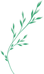 Green Leaf Branch Watercolor Texture PNG Decoration, on Transparent Background