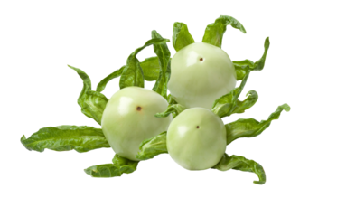 three fresh, round, pale green white eggplants (or thai eggplant varieties) arranged closely and surrounded by characteristic ruffled, vibrant green leaves, isolated on black.