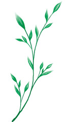 Green Leaf Branch Watercolor Texture PNG Decoration, on Transparent Background