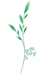 Green Leaf Branch Watercolor Texture PNG Decoration, on Transparent Background