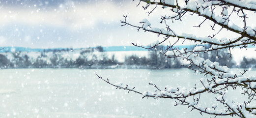 Snow-covered bare branches of a tree in the foreground during a snowfall against a backdrop of a...