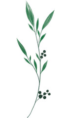 Green Leaf Branch Watercolor Texture PNG Decoration, on Transparent Background