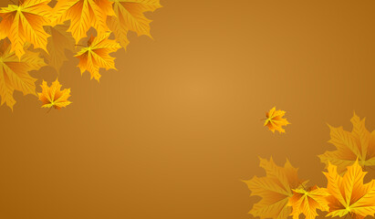 Autumn leaves background