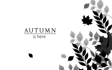 Autumn leaves background