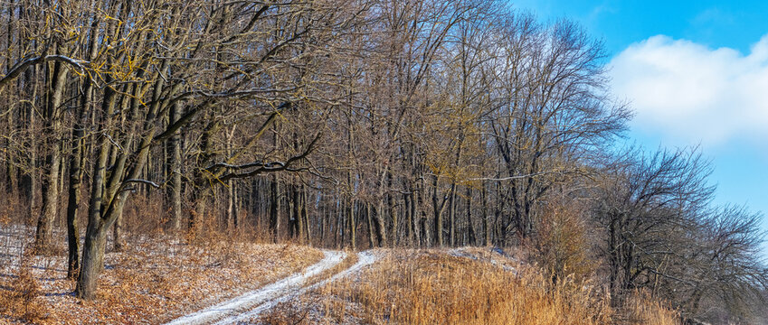 Rural dirt road or path covered with snow and light frost, passing between a bare forest and a field of dry grass under a blue sky with clouds, winter or early spring landscape - Powered by Adobe