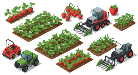 Isometric farming equipment and strawberry fields in modern agricultural design