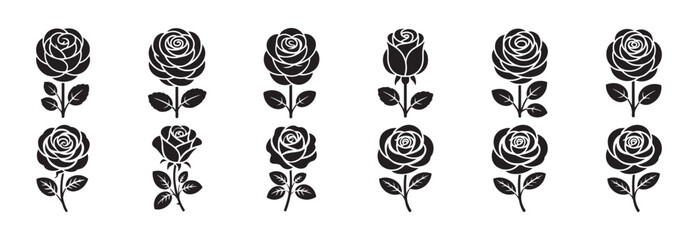 Set of Vintage Rose Flower Illustrations